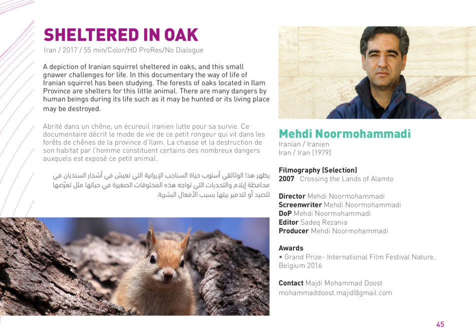 Sheltered In Oak